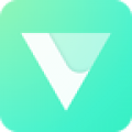VeeR VR app