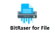 BitRaser for File汉化版