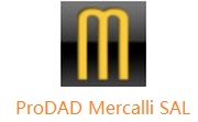 ProDAD Mercalli SAL去广告版